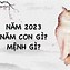 Bố Mẹ Sinh Năm 1995 Sinh Con Năm 2024 Có Tốt Không