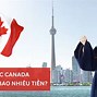 Các Ngành Học Của Canada Thạc Sĩ Tại Mỹ Năm 2024