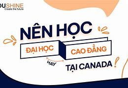 Nên Học Cao Đẳng Hay Đại Học Ở Canada