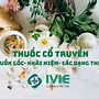 Thuốc Y Học Cổ Truyền Tiếng Anh Là Gì