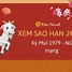 Tử Vi Tuổi Kỷ Mùi Nữ Mạng 1979 Năm 2024