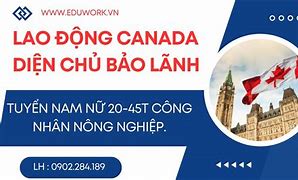 Xklđ Canada 2022 Pdf Tiếng Việt Free Download Pdf Gratis