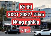 Xklđ Hàn Quốc Năm 2022 Ở Hà Nội Không Qua Trung Gian